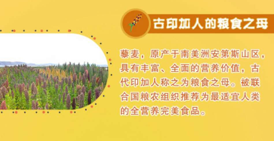 微信图片_20200418120652_03.jpg