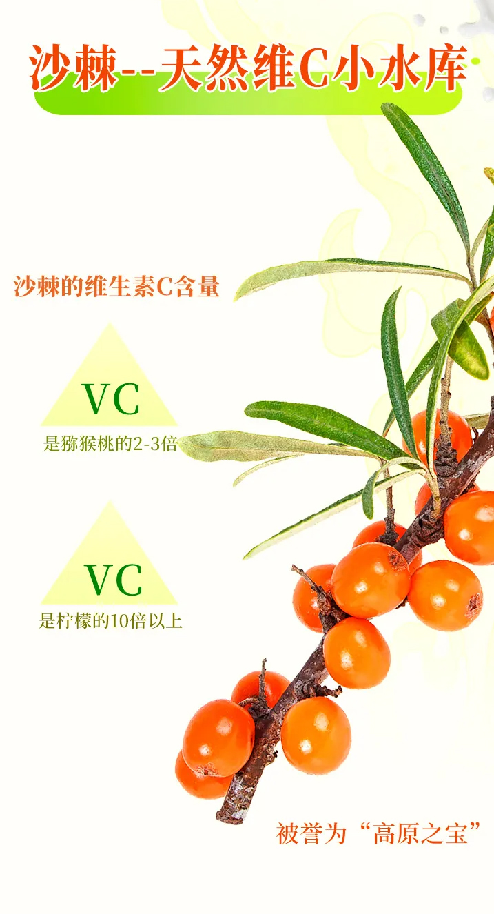640-(1)_05.jpg